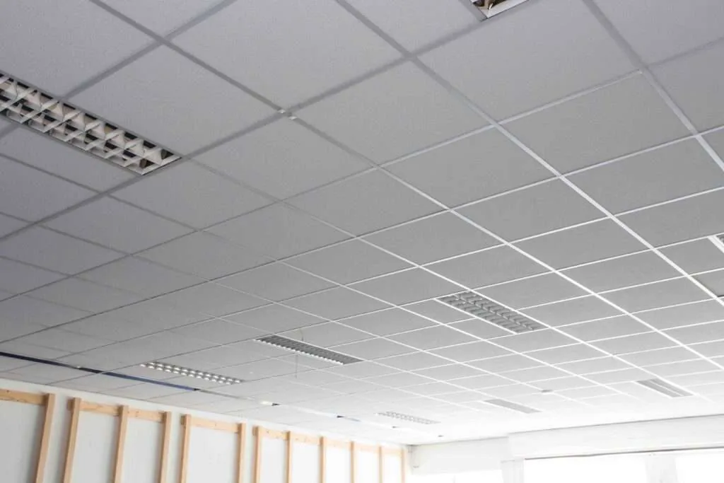 Suspended Ceiling