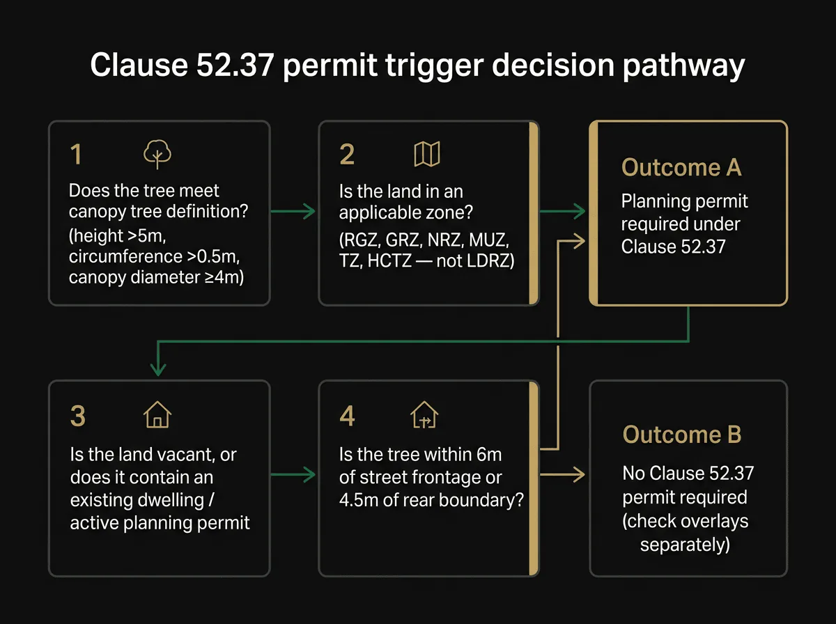 Clause 52.37 planning permit trigger flowchart for canopy tree removal in Victoria residential zones